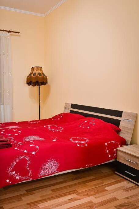Casa Max Apartment Timisoara Exterior photo