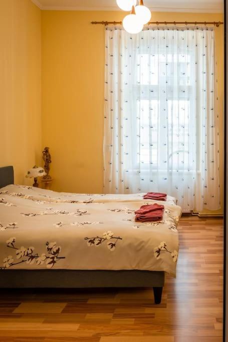 Casa Max Apartment Timisoara Exterior photo