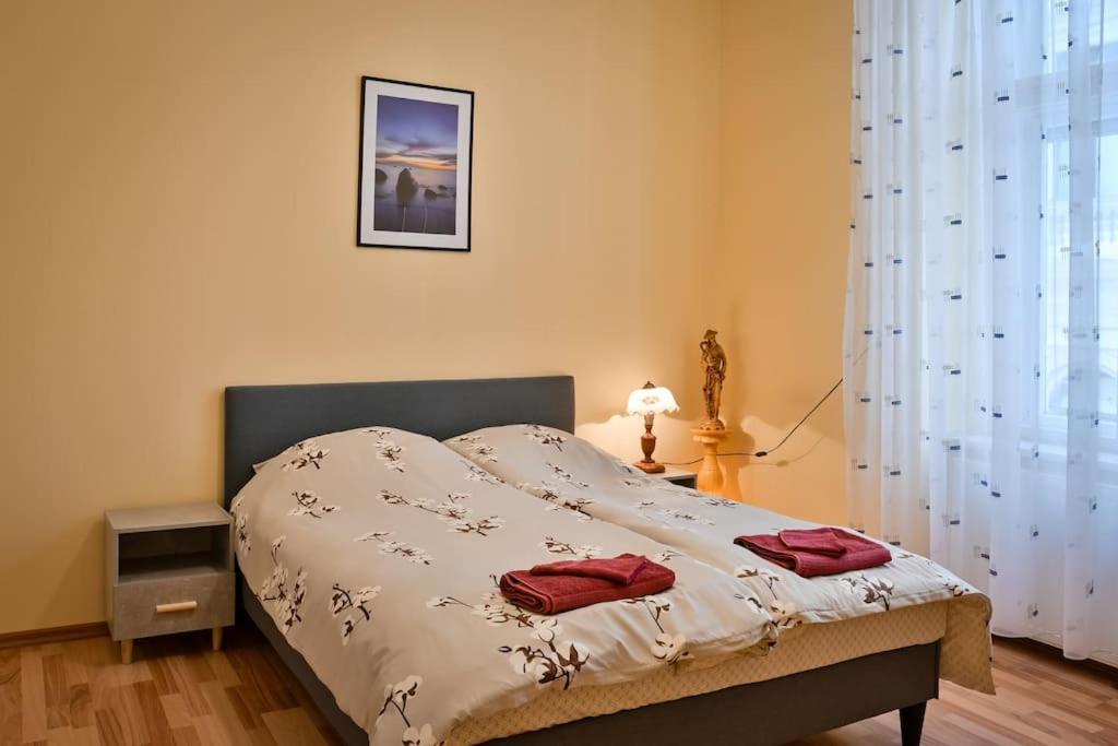 Casa Max Apartment Timisoara Exterior photo